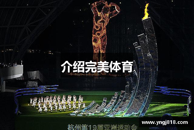 介绍完美体育